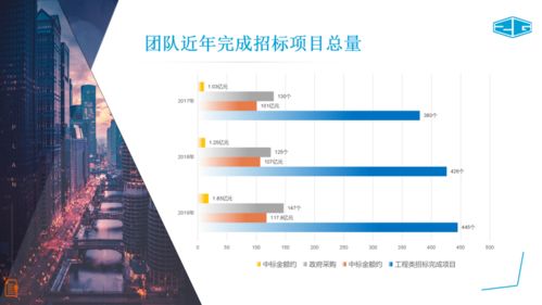 中冠咨詢 全面招標代理、政府采購與信息技術咨詢服務介紹